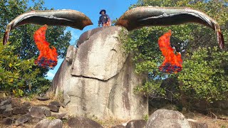 Grilling Fish on a Giant Rock - Camping