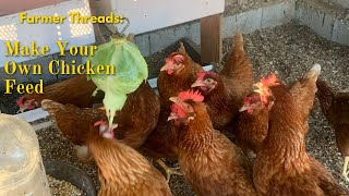 What I feed my home grown chickens