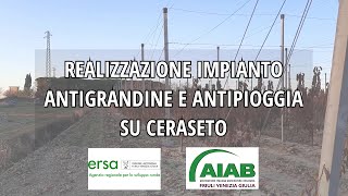 Creazione impianto antigrandine e antipioggia in ceraseto