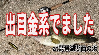 琵琶湖の湖西で夜釣りしてたら出目金系の良型バスが釣れた！