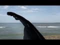 கருங்கற்களால் இப்படி ஒரு கோட்டையா vattakottai fort in kanyakumari வட்டக்கோட்டை