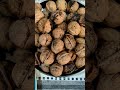 walnut hacks अखरोट से साबूत गिरी इस तरह से आसानी से निकालें 🙂