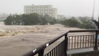 台風19号　入間市　入間川