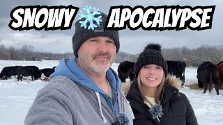 Farmers Brave the Snowy Apocalypse Every Day!