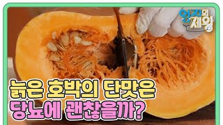 혈당 잡는 늙은 호박!! 늙은 호박의 단맛은 당뇨에 괜찮을까?? MBN 241203 방송