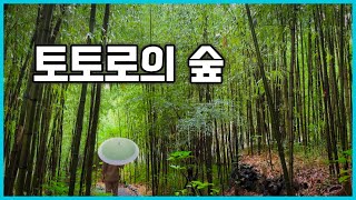 좋은 곳이 너무 많은 시즈오카, 아타가와 온천 교쿠스이 료칸(熱川温泉 玉翠 旅館)