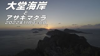 【自然散策】大堂海岸とアサギマダラ　2022年11月4～6日（高知県）