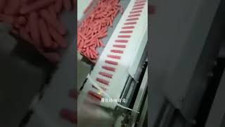 No.|whatsapp8615966151202|香肠穿串机|全自动香肠穿串机|Sausage stringer | automatic sausage stringer