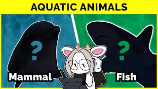 🔴 Aquatic Mammal VS Fish Anatomy (Key Differences for Artists)