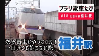 ブラリ電車たび#18北陸本線福井駅の夕方・次々やってくる電車