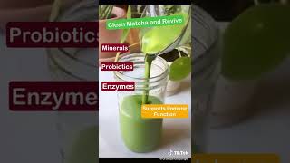 Dr. Junger Prepares a Matcha \u0026 Revive Smoothie