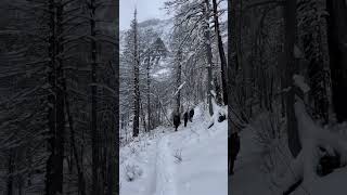 Bertha Lake at Waterton National Park - January 4 2025. FIRST HIKE OF THE YEAR!!