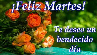 🍁Feliz Martes Dios te bendiga🍁te deseo un bendecido día con este lindo video de buenos días, ábrelo