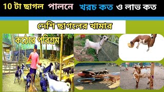 10 টা ছাগল পালনে খরচ কত ও লাভ কত। দেশি ছাগলের খামার।How to start goat farming business in 2024