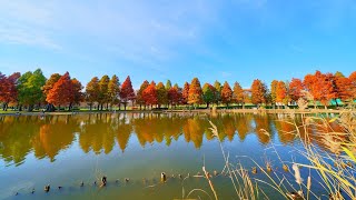 晩秋の光景