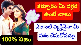 కర్పూరం మీ దగ్గర ఉంటే చాలు ఎలాంటి వ్యక్తి అయినా మీ వశం చేసుకోవచ్చు