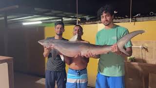 Yellow Edge Grouper Caught ! Crazy Shark Action ! Christmas Fishing Trip.