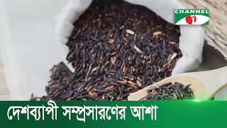 ব্ল্যাক রাইস আবাদে সাড়া ফেলেছেন কুমিল্লার মনজুর