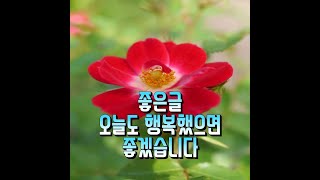 민정채널[좋은글/ 좋은시/ 오늘도 행복했으면 좋겠습니다]