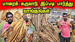 வெளிநாட்டுக்கு ஏற்றுமதியாகும் கருவாடுகள் | கருவாடுகளின் விலை நிலவரம் யாழ்ப்பாணம் | Jaffna dry fish