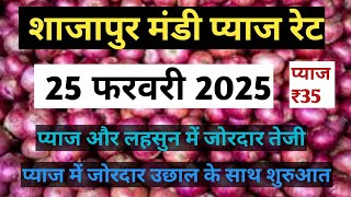 शाजापुर मंडी भाव प्याज रिपोर्ट | 25 फरवरी 2025 | Shajapur Mandi Bhav pyaj today #agriculture #onion