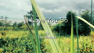 The Walters - I Love You So ( Lyrics Video )