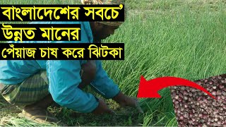 বাংলাদেশের সবচেয়ে উন্নত মানের পেঁয়াজ চাষ করে ঝিটকা