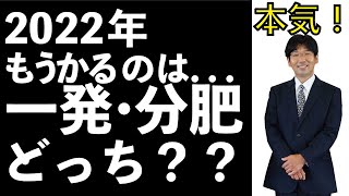 肥料高騰で悩み、迷いますよね。どうすれば儲かるか【農業】