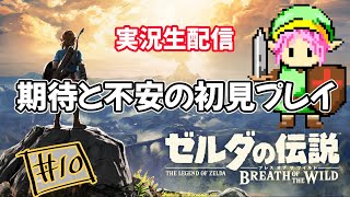 #１０ ゼルダの伝説ブレスオブザワイルドやってく！！初代から２８年の衝撃なるか【ゼルダの伝説】完全初見実況プレイ