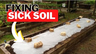 Solarization. The Soil Miracle Cure…