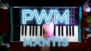 PWM - Mantis (Sounds Only Demo)