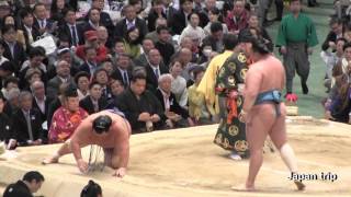 玉鷲 vs 琴奨菊  2017大相撲 大阪春場所5日目 Sumo Tamawashi vs Kotoshogiku 2017 Osaka