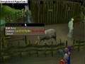 Part Of Animal Magnetism - Runescape