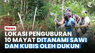 Dukun Kubur 10 Mayat hingga Ditanami Sawi dan Kubis, Untuk Kelabui Warga Saat Melintas