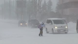 「早く春になって」ポカポカ陽気一転 雪景色に逆戻り 「数時間でこんなに…」札幌も雪・風強まる 週末はツルツル路面に注意 (24/02/16 20:20)