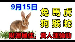 9月15日生肖運勢_兔、馬、虎大吉 - 十二生肖