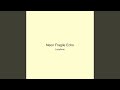 Neon Fragile Echo