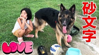 砂文字でマック大好き♪いとしのシェパード犬LOVE.迷子犬捜索I like dogs