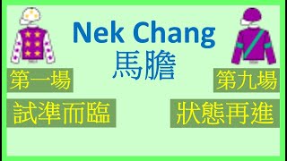 【賽馬貼士】Nek Chang 馬膽 第一場 試準而臨 第九場 狀態再進