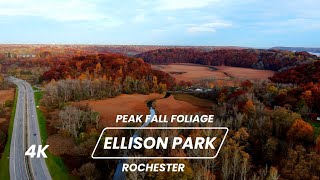 Fall Foliage at Ellison Park - Drone Footage - Rochester NY