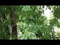 Download Sexual Desire: When the excess craving drives her to masturbation. © Pankaj Oudhia In Mp4 3Gp Full HD Video