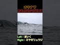 沖縄のサーファー全員穴好き説 surfing surf tube