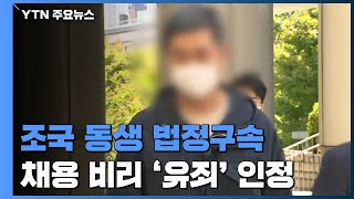 '웅동학원 비리' 조국 동생 1심 '징역 1년' 재수감...허위소송은 무죄 / YTN