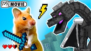 Hamster survival in Minecraft Ep.2 😱 Hamster vs Ender Dragon 😱 Homura Ham