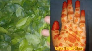 மருதாணி செக்க சிவக்க டிப்ஸ்...tips to get red color in henna