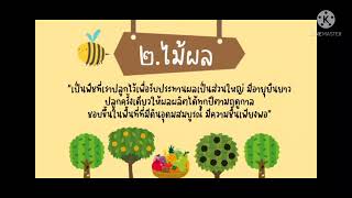 การงานอาชีพ ป.2 เรื่อง พันธุ์พืชที่ควรรู้จัก