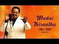 madai thiranthu chill trap mix nizhalgal s.p. balasubrahmanyam ilaiyaraaja sharan kumar