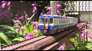 【HOゲージガーデン】爆走!! フラワートレイン　HO gauge garden long rail express in Japan