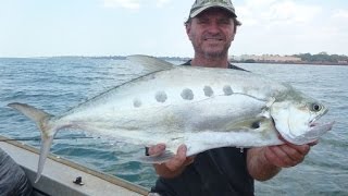 How to Catch Big Queenfish | The Hook and The Cook.