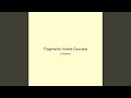 Fragments Velvet Cascade